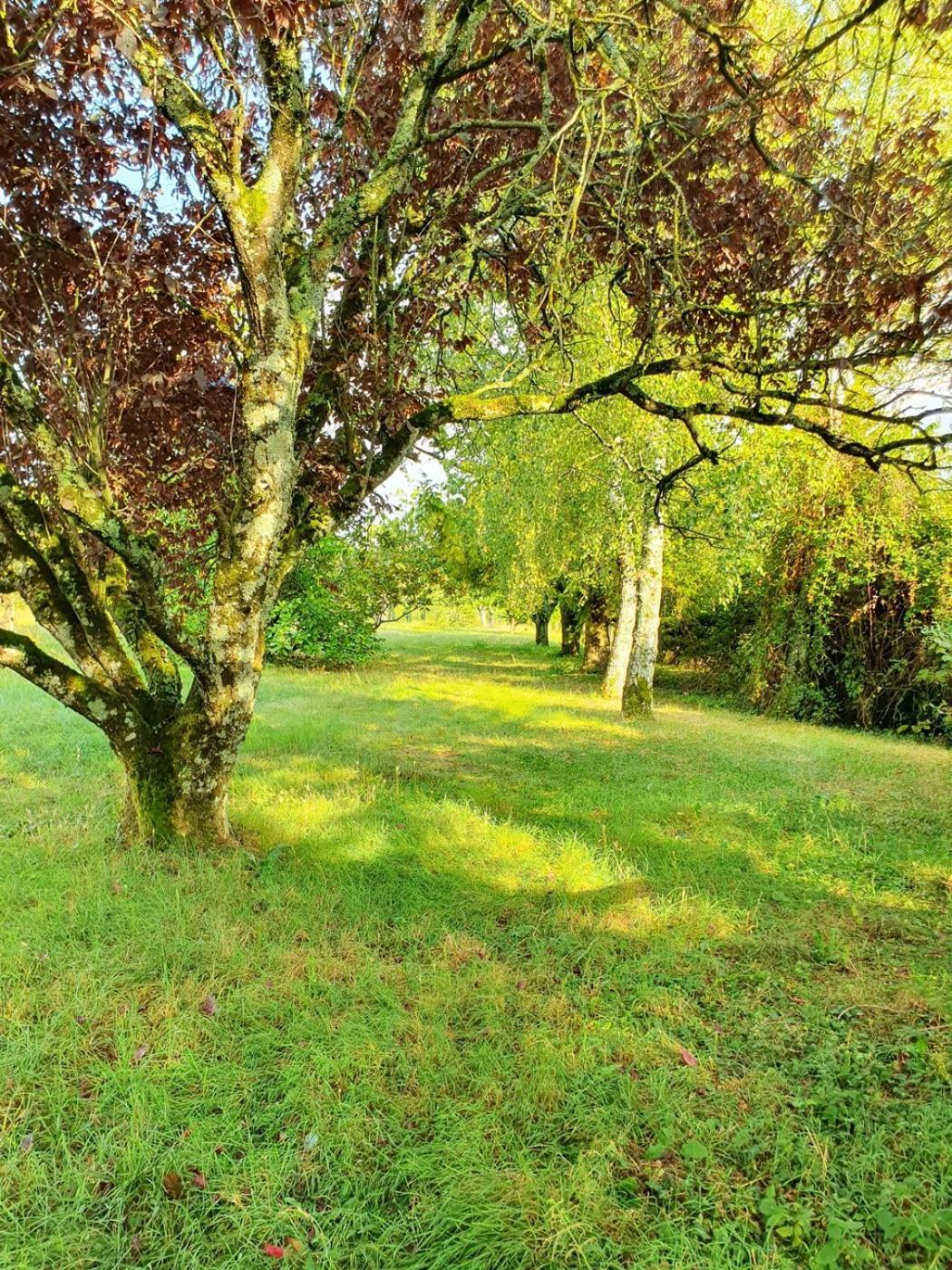 Le Clos Violet Clesse Holiday Home For 6 Bagian luar foto